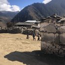 Afternoon Drive to Sakteng School (988297)