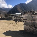 Afternoon Drive to Sakteng School (982761)