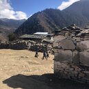 Afternoon Drive to Sakteng School (985963)