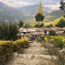 Dorji's House in Phongmey (984076)