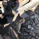 Afternoon Drive to Sakteng School (984873)