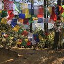 FIrst Summit to Tiger's Nest