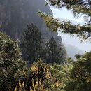 FIrst Summit to Tiger's Nest (992859)