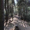 FIrst Summit to Tiger's Nest (986339)