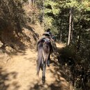 FIrst Summit to Tiger's Nest (988630)