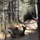 FIrst Summit to Tiger's Nest (992074)