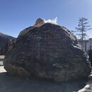 Rabbit Mountain and Haizi Mountain Preserve (988209)