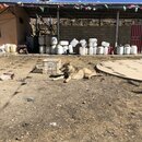 Rabbit Mountain and Haizi Mountain Preserve (983667)