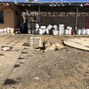 Rabbit Mountain and Haizi Mountain Preserve (984653)