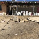 Rabbit Mountain and Haizi Mountain Preserve (983807)