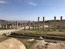 Final Day Trip to Jerash (991930)