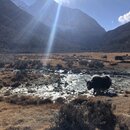 Yading National Park of China (986185)