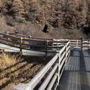 Yading National Park of China (983782)