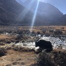 Yading National Park of China (992893)