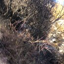 Yading National Park of China (982311)