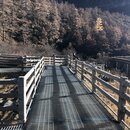 Yading National Park of China (986169)