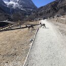 Summiting Yading National Park (992515)