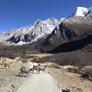 Summiting Yading National Park (986054)