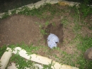 Cat Burial