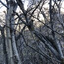 Summiting Yading National Park (983526)