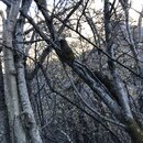 Summiting Yading National Park (992220)