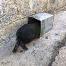 Songzanlin Lamasery Monastery (990113)