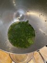 My Mojito Recipe (1003225)