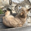 Atti Playing in the Mud (988824)