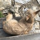 Atti Playing in the Mud (989878)