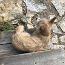 Atti Playing in the Mud (987064)