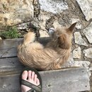 Atti Playing in the Mud (984294)