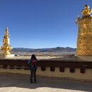 Songzanlin Lamasery Monastery (985858)