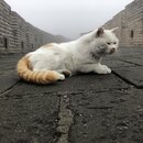 The Great Wall of China (982225)