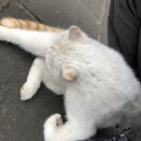 The Great Wall of China (985478)