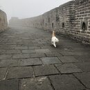 The Great Wall of China (989035)