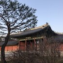 Korean Temple (987124)