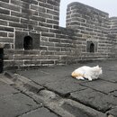 The Great Wall of China (990546)