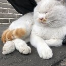 The Great Wall of China (988065)