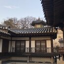 Korean Temple (981425)