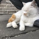 The Great Wall of China (988631)