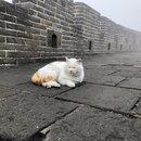 The Great Wall of China (988190)