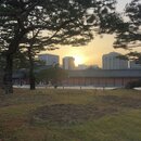 Korean Temple (990645)