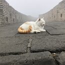 The Great Wall of China (984940)