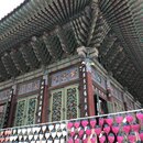 Exploring Seoul (982796)
