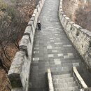 The Great Wall of China (988765)