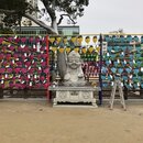 Exploring Seoul (987720)