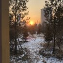 Exploring Ulaanbaatar (993232)