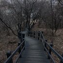 Exploring Seoul (989570)