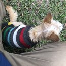 Christmas Time at Heather's (981593)