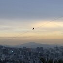 Exploring Seoul (991356)